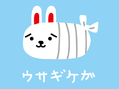 ウサコレ紹介 ウサコレフレンズ